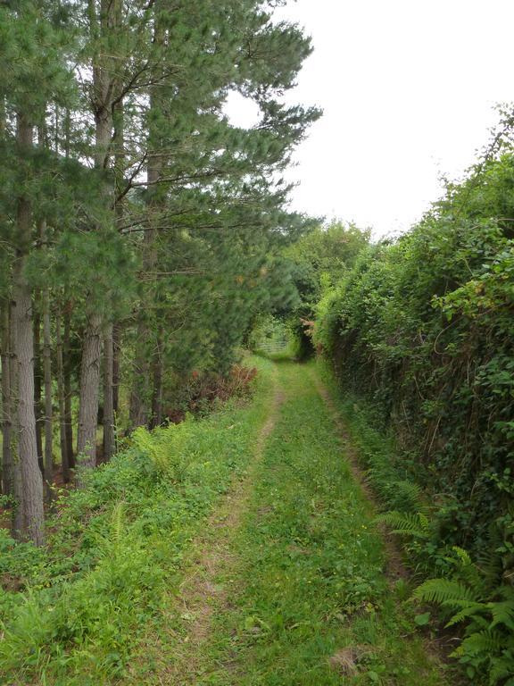 Viviendas Rurales Aldea De Dosamantes Pesaguero-La Parte Exteriér fotografie