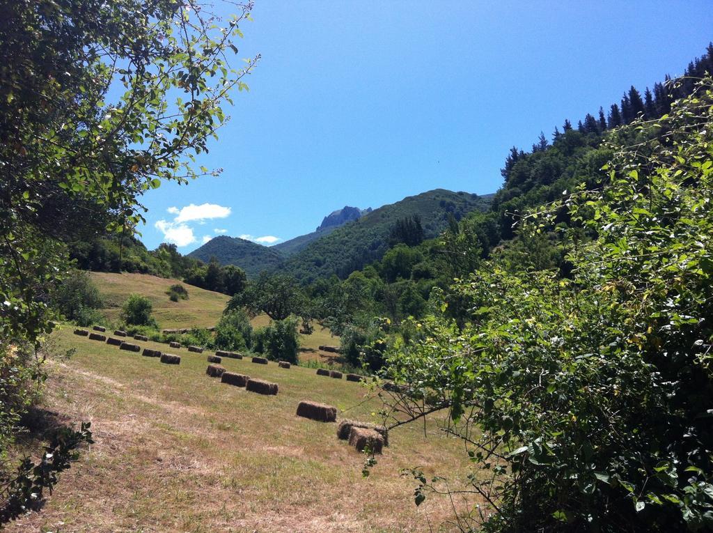 Viviendas Rurales Aldea De Dosamantes Pesaguero-La Parte Exteriér fotografie