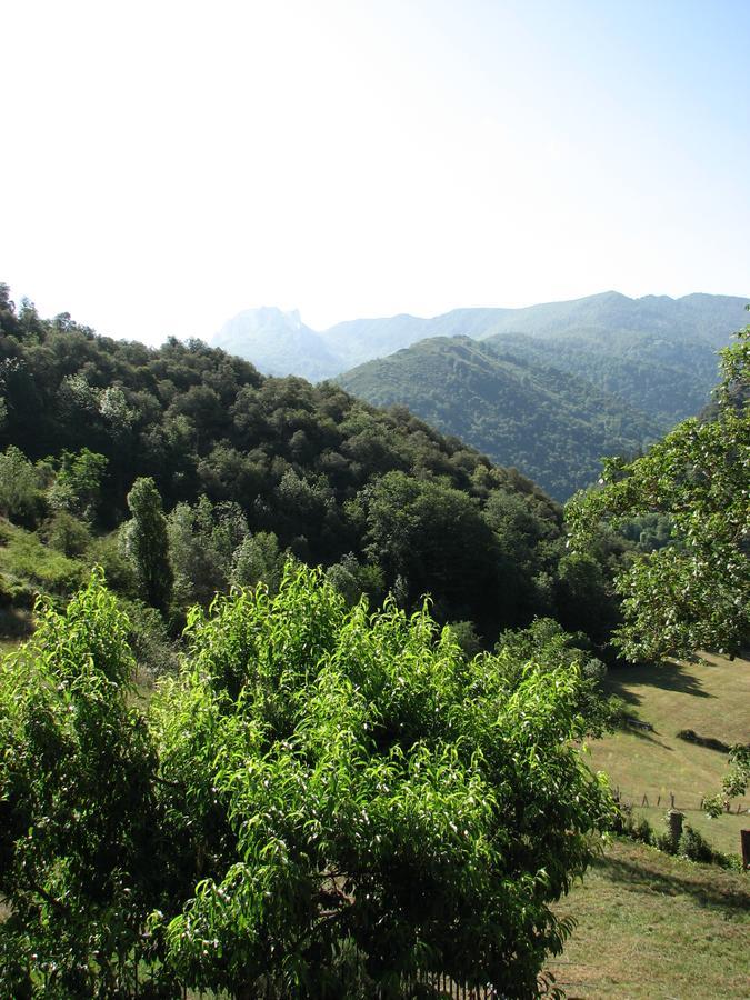 Viviendas Rurales Aldea De Dosamantes Pesaguero-La Parte Exteriér fotografie